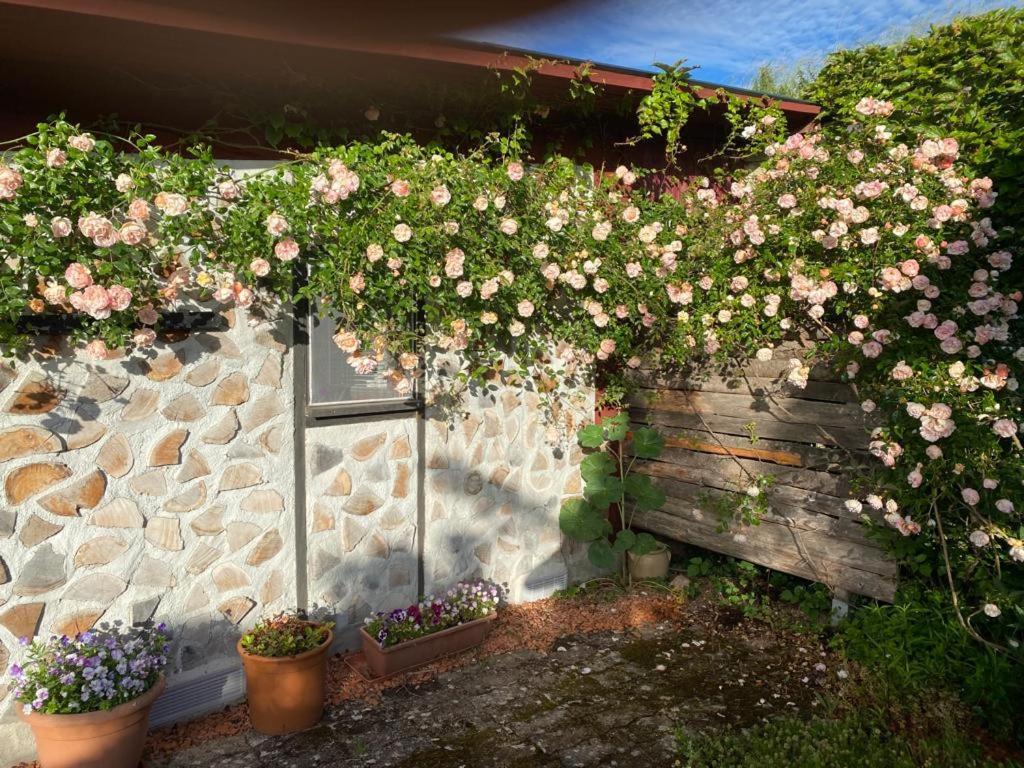 La Maison Du Potager Saint-Racho Exterior foto